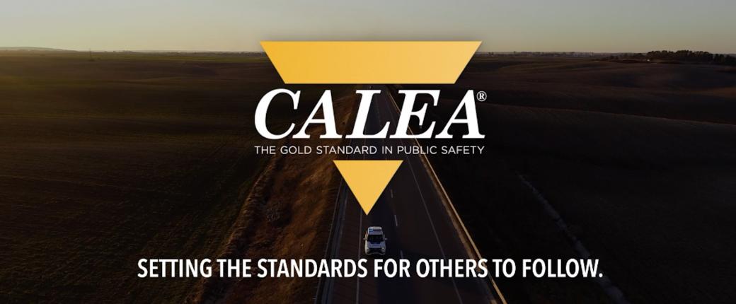 Setting the standards for others to follow.