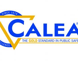 40th logo