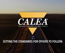 Setting the standards for others to follow.