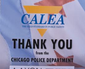 Chi thank you